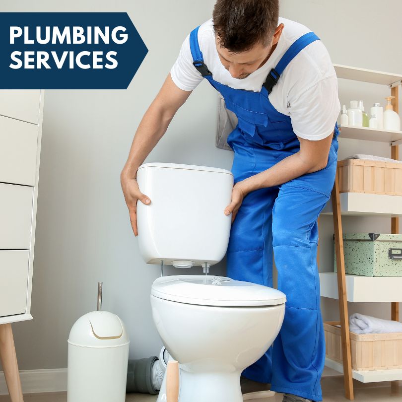 Plumbing Company in Floral City, FL